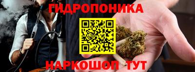 прущие грибы Можайск